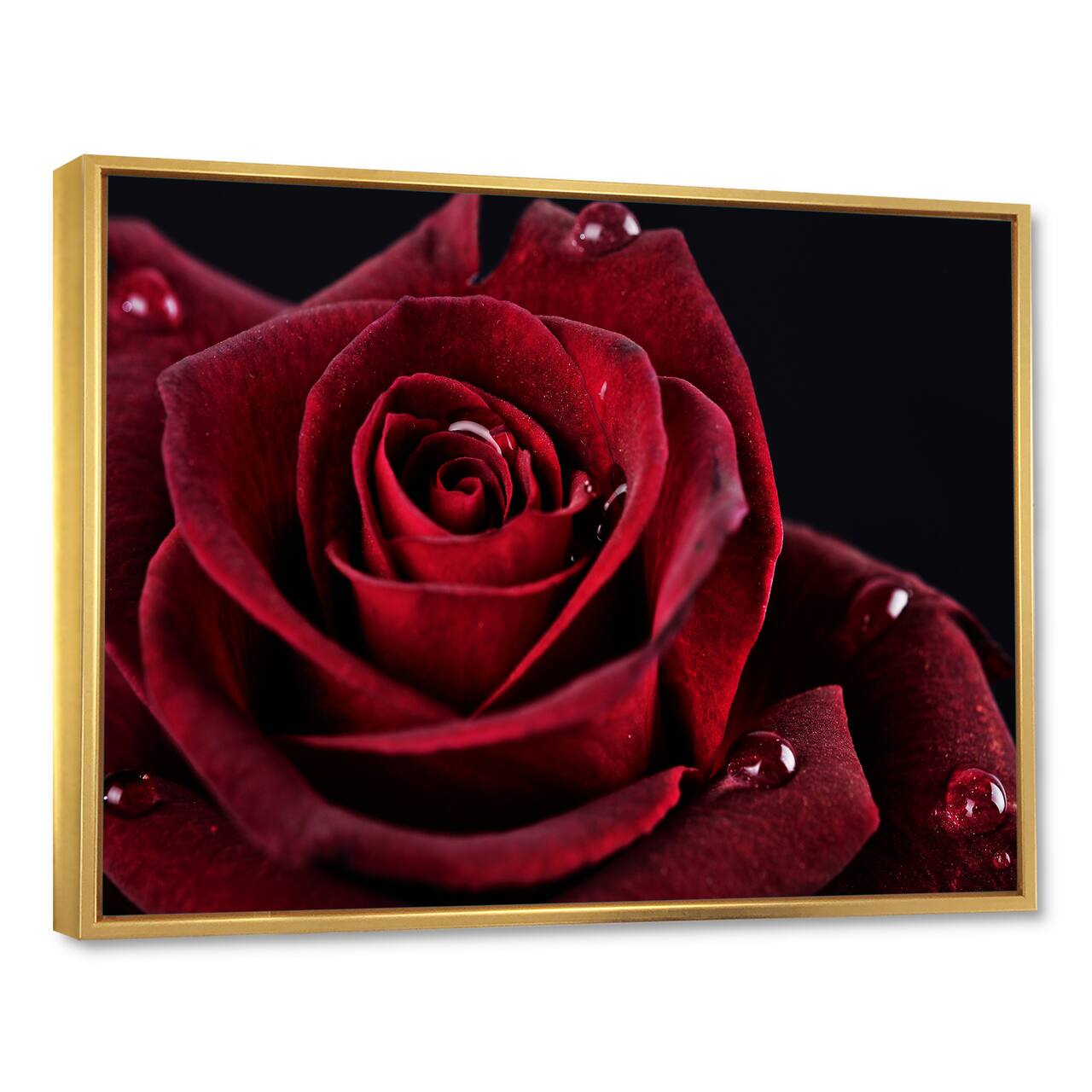 Designart - Red Rose with Raindrops on Black - Flowers Framed Canvas Wall Artwork